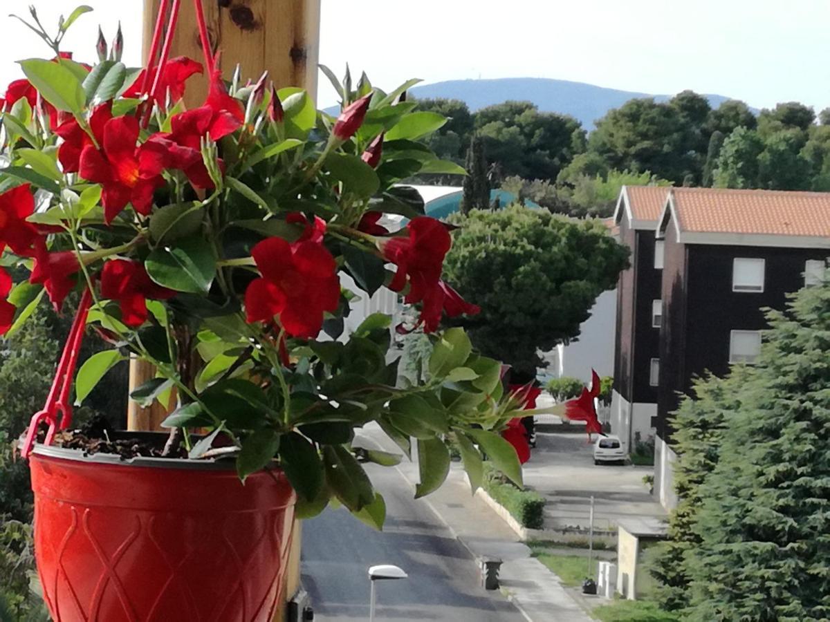 Nel Blu Dipinto Di Blu Lejlighed Porto Recanati Eksteriør billede